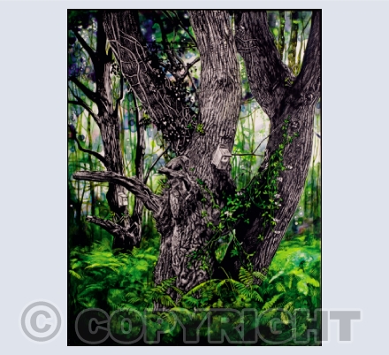 Trees 1 - pen and ink