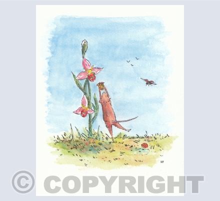 Animal characters