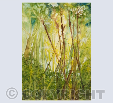 Paintings