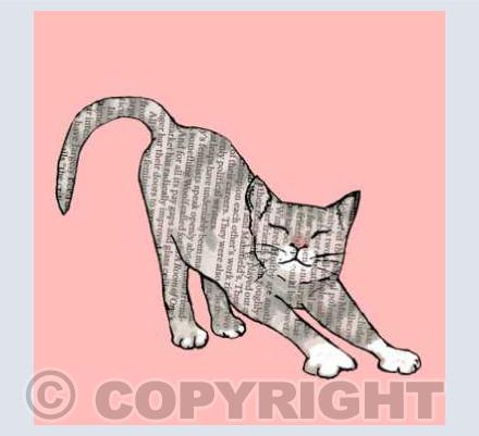 cats