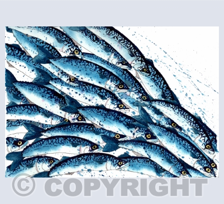 Fabulously Fishy
