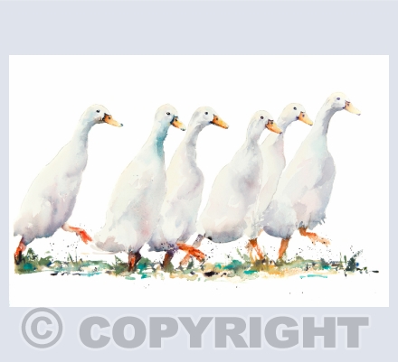 British Wildlife