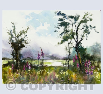 Landscape / Coastscape