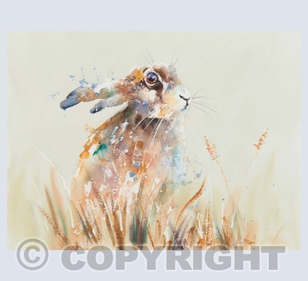 Hares