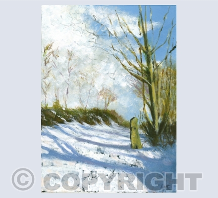 Cornish Landscapes