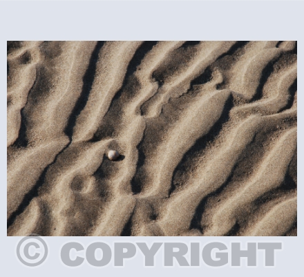 Landscapes