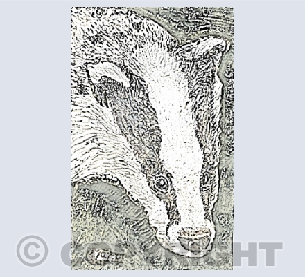 Printmaking