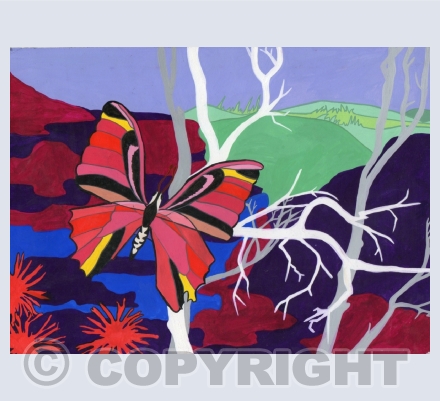 abstract designs