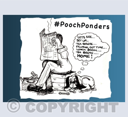 #PoochPonders