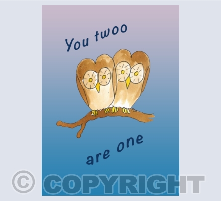 weddings & partnerships