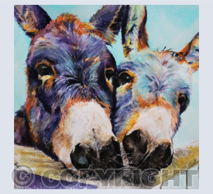 HORSES & DONKEYS