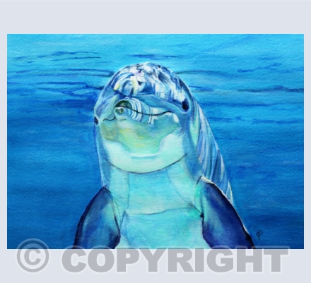 AQUATIC