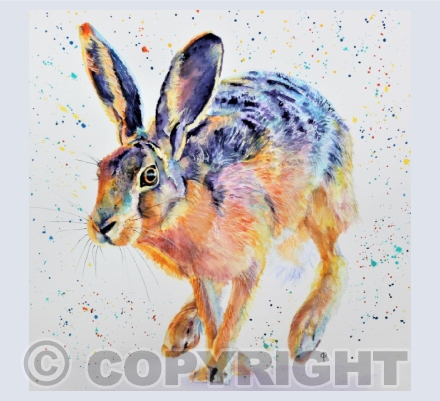 HARES