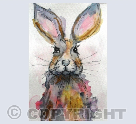 Animals and Insects