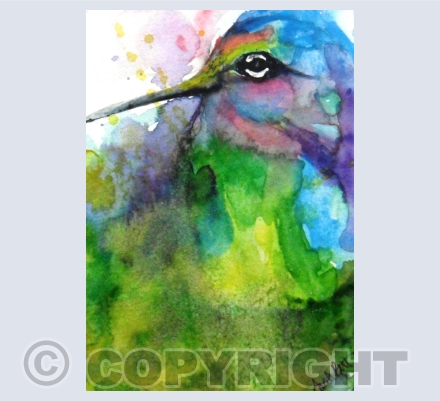 Birds