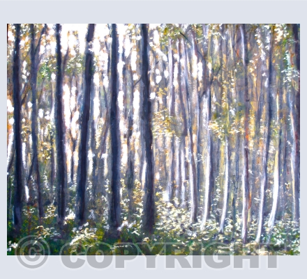 Trees