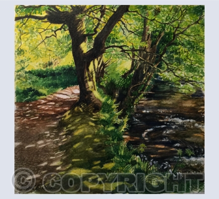 Streams, rivers and waterways