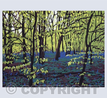 Woodlands and Trees