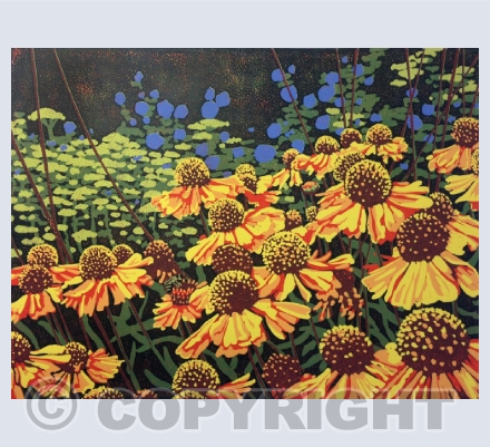 Flowers and Fields