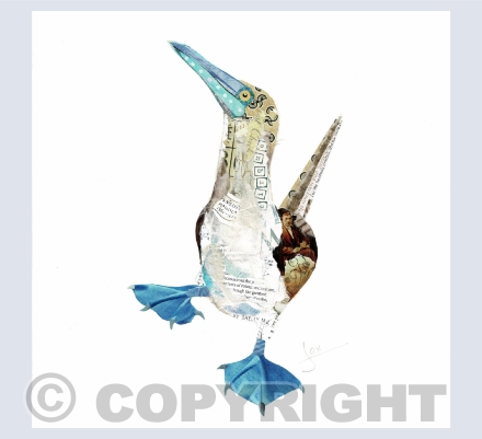 Paper Collage Birds