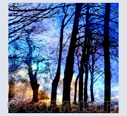 Leaves and Trees