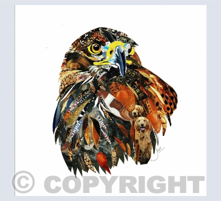 Birds of Prey paper collage