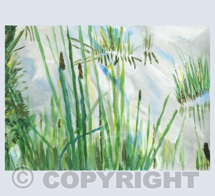 Spring