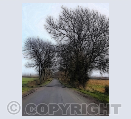 plants and trees