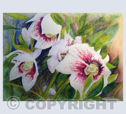 Flowers/plants