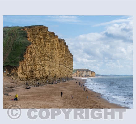Dorset