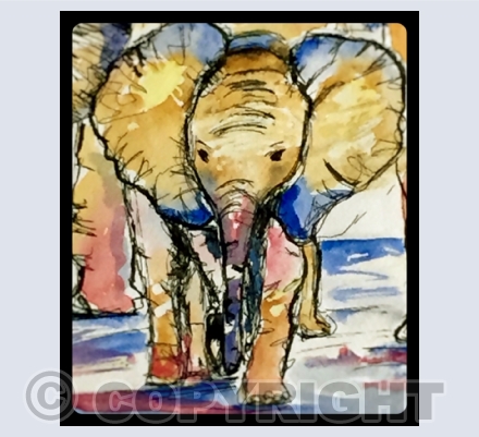 Elephants