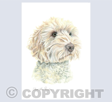 Pet Portraits