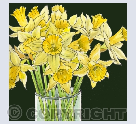 Mother Nature's Gifts