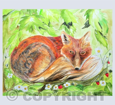 foxes