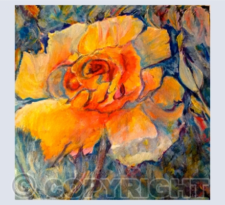 Cards for a Birthday