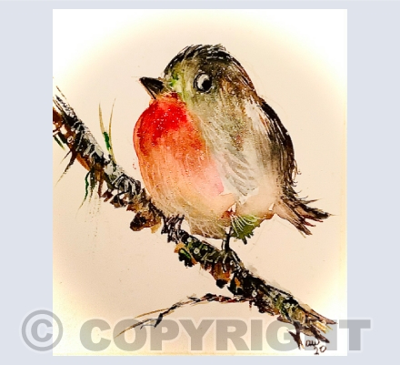 Robins