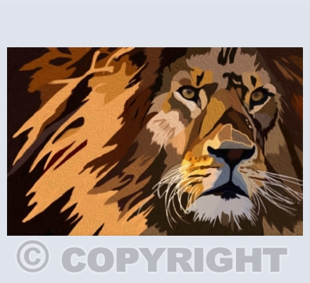Wild Animals