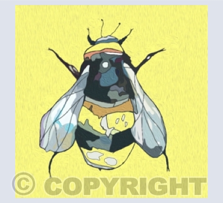 Insects