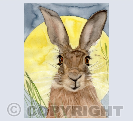 HARES in WATERCOLOUR