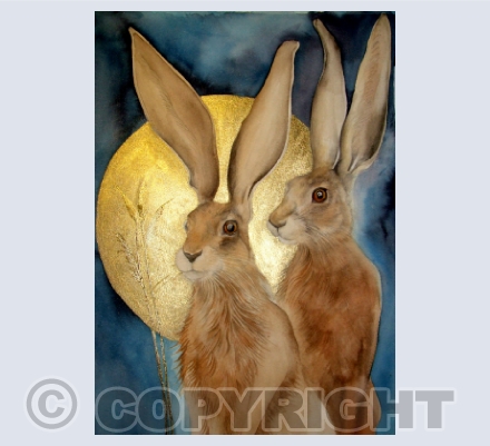 GOLDEN MOON HARES