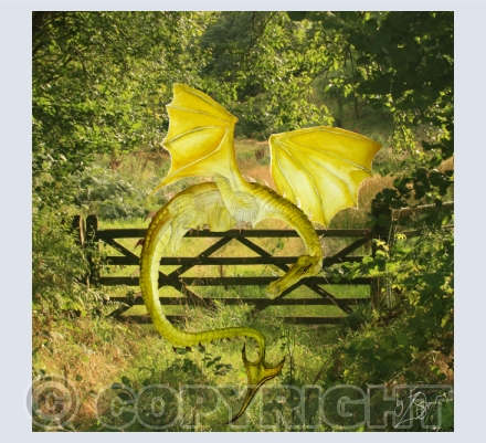  WELSH DRAGONS