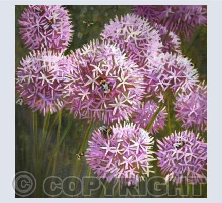 Bee & Butterfly Cards