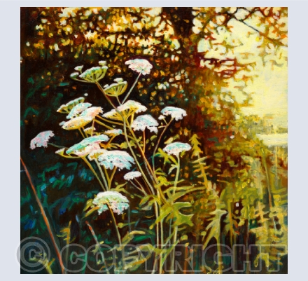 Landscape Cards
