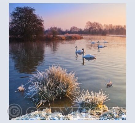 UK Landscapes