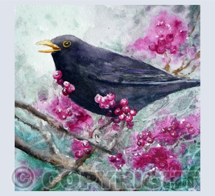 Birds