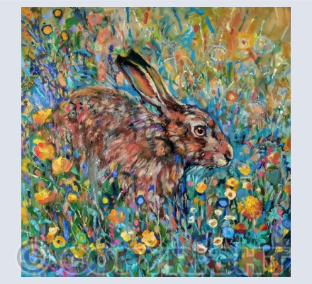 Hares