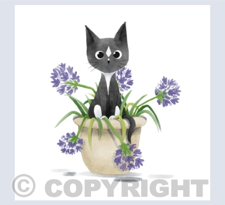 Cats