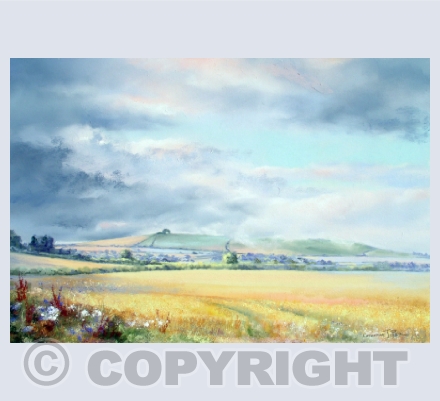 Wiltshire Landscapes