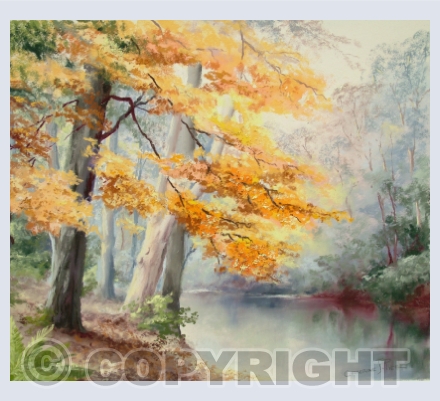 Autumn Colours