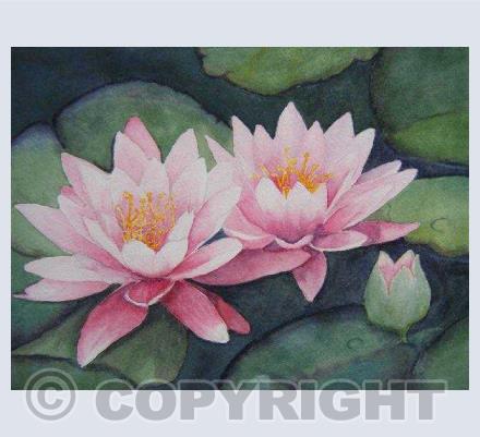 Flowers / plants